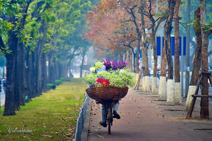 Thanh xuân tựa mở